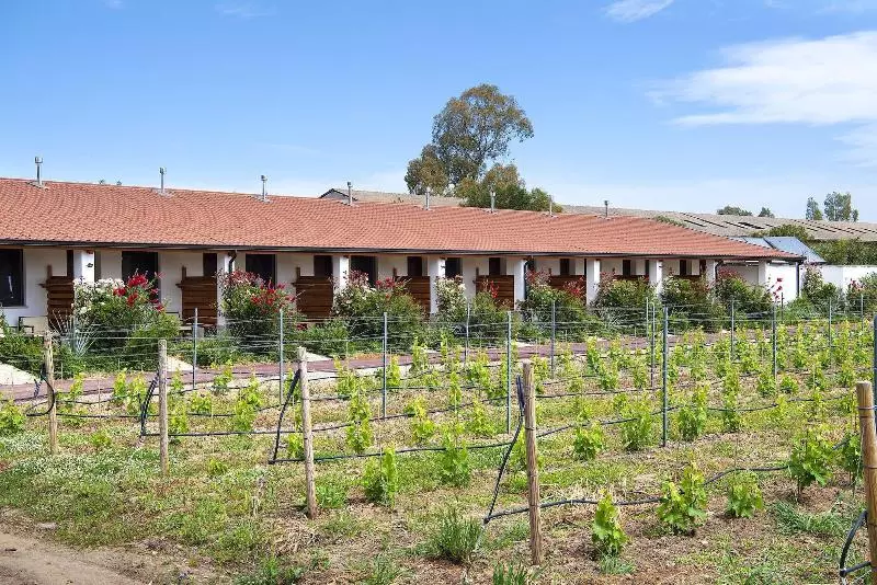 בית מלון כפרי Rurale Orti Di Nora & Spa