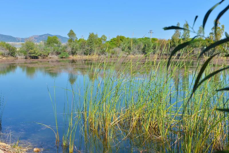 فندق Rurale Orti Di Nora & Spa