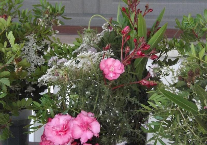 فندق Rurale Orti Di Nora & Spa