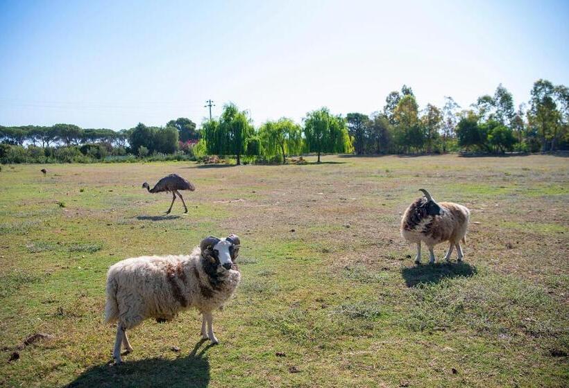 فندق Rurale Orti Di Nora & Spa