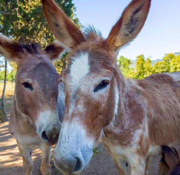 فندق Rurale Orti Di Nora & Spa