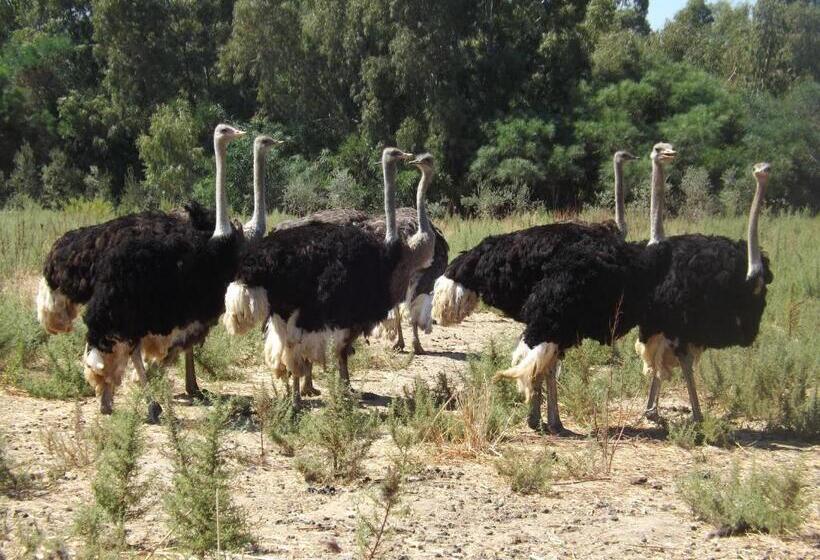 فندق Rurale Orti Di Nora & Spa