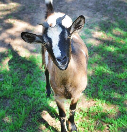 فندق Rurale Orti Di Nora & Spa