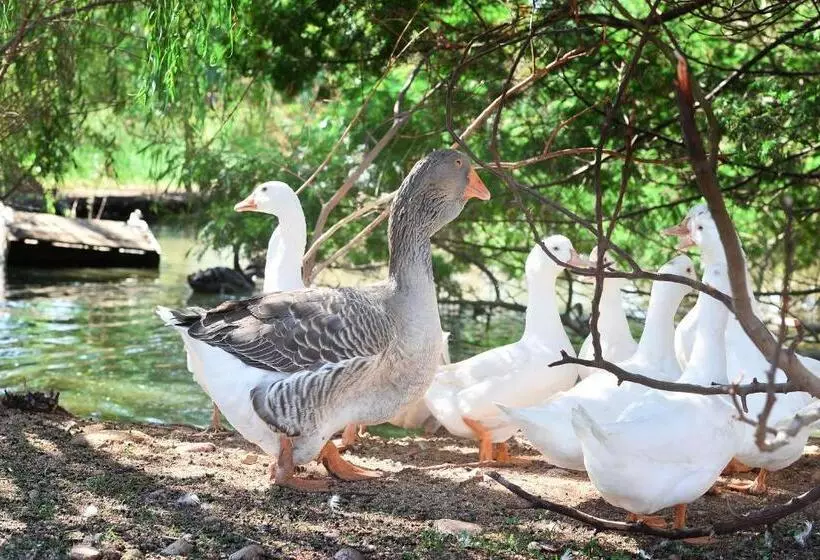 Szálloda Rurale Orti Di Nora & Spa