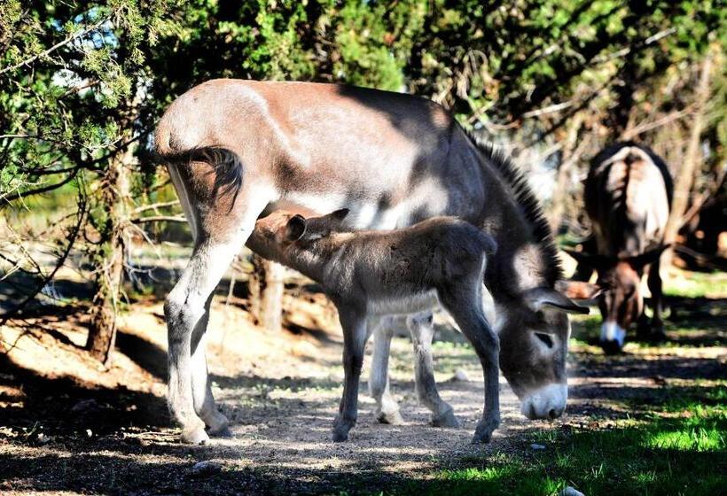 فندق Rurale Orti Di Nora & Spa