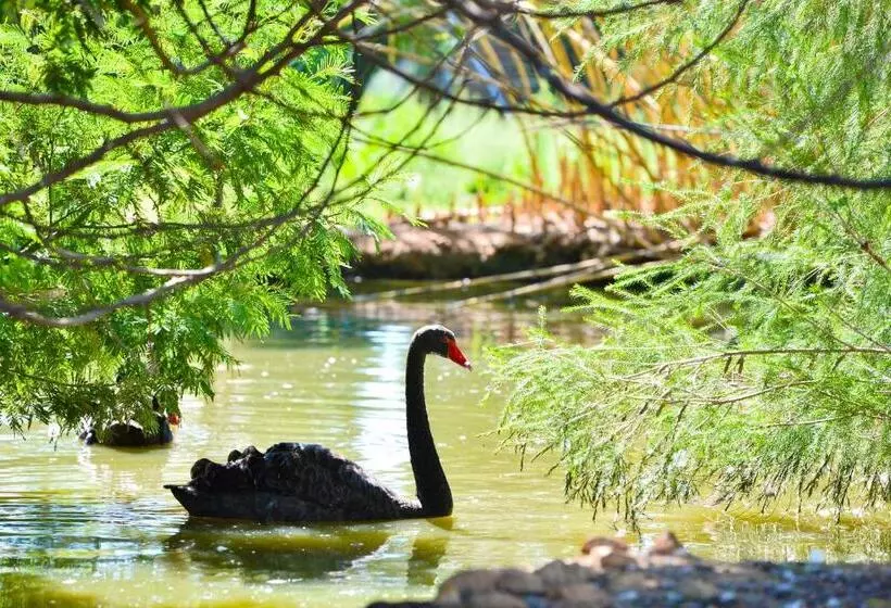 בית מלון כפרי Rurale Orti Di Nora & Spa