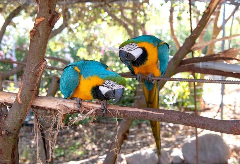 فندق Rurale Orti Di Nora & Spa