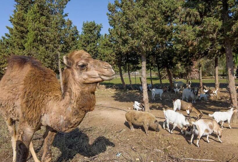 فندق Rurale Orti Di Nora & Spa