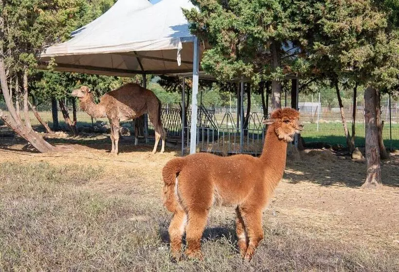 בית מלון כפרי Rurale Orti Di Nora & Spa