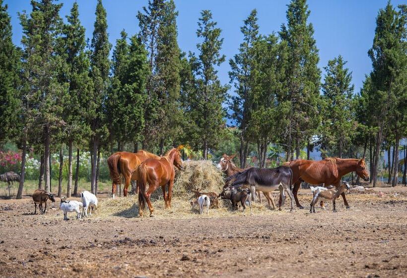 فندق Rurale Orti Di Nora & Spa