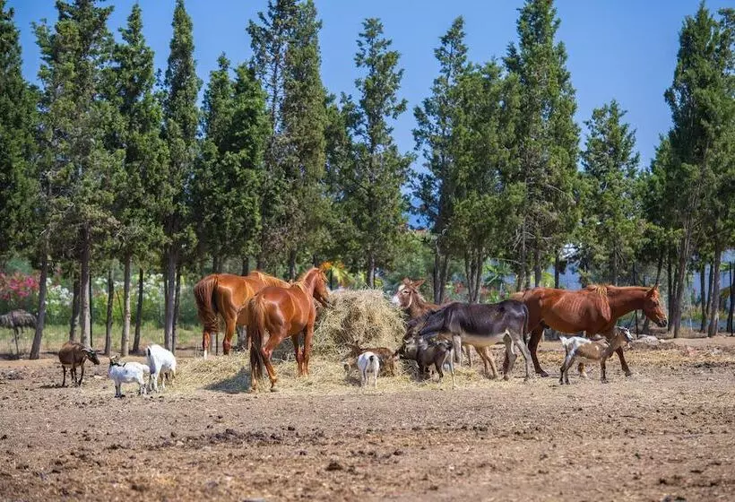 Otel Rurale Orti Di Nora & Spa