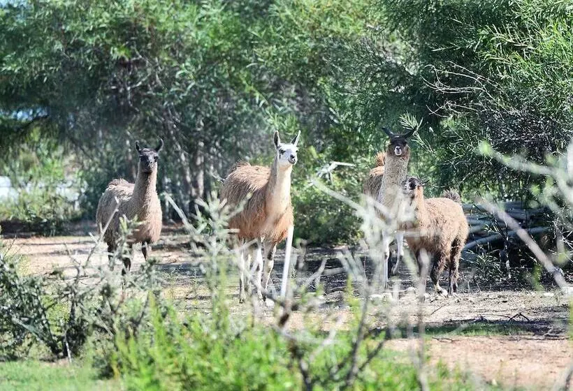 Otel Rurale Orti Di Nora & Spa