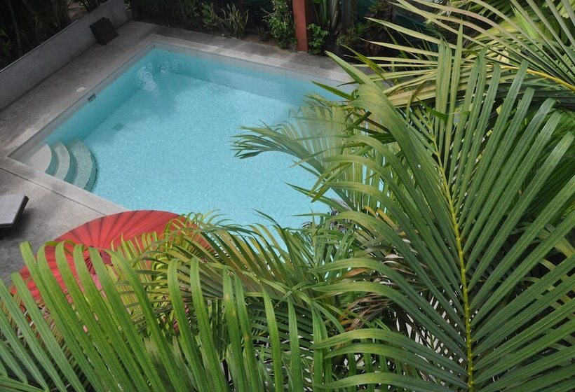 ホテル Sallamai Resort