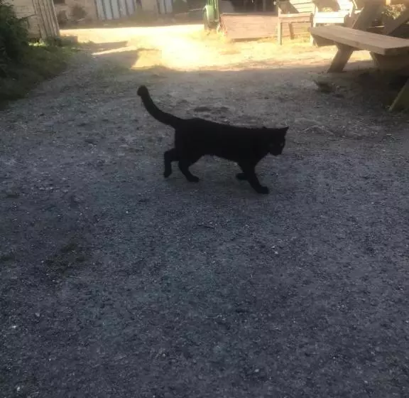 Retkeilymaja The Northmore Arms