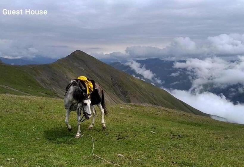 تختخواب و صبحانه Leila S Guest House