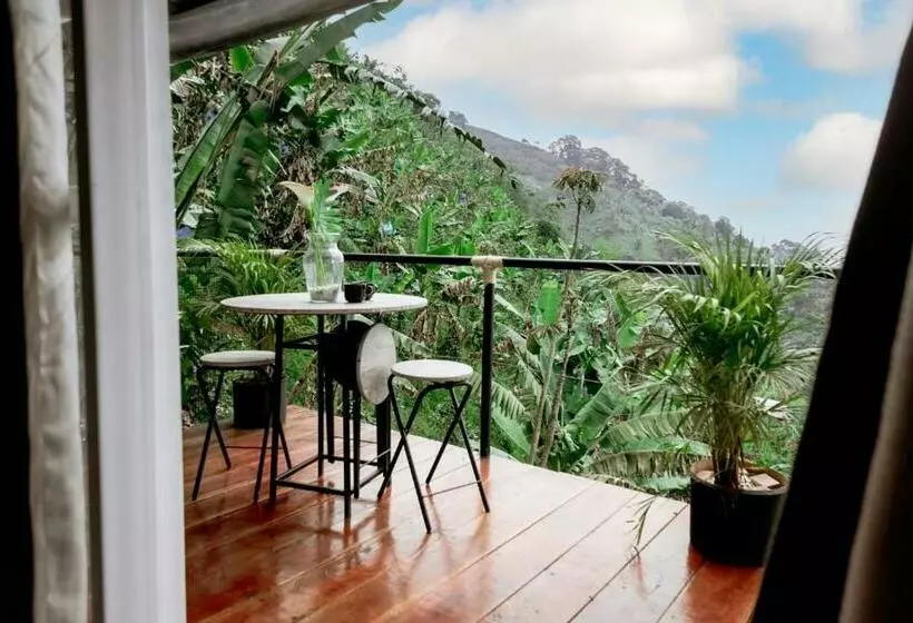 カプセルホテル Glamping Casa Viva