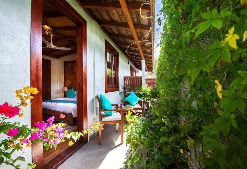 Island Luxury Boutique Hotel   Fulhadhoo