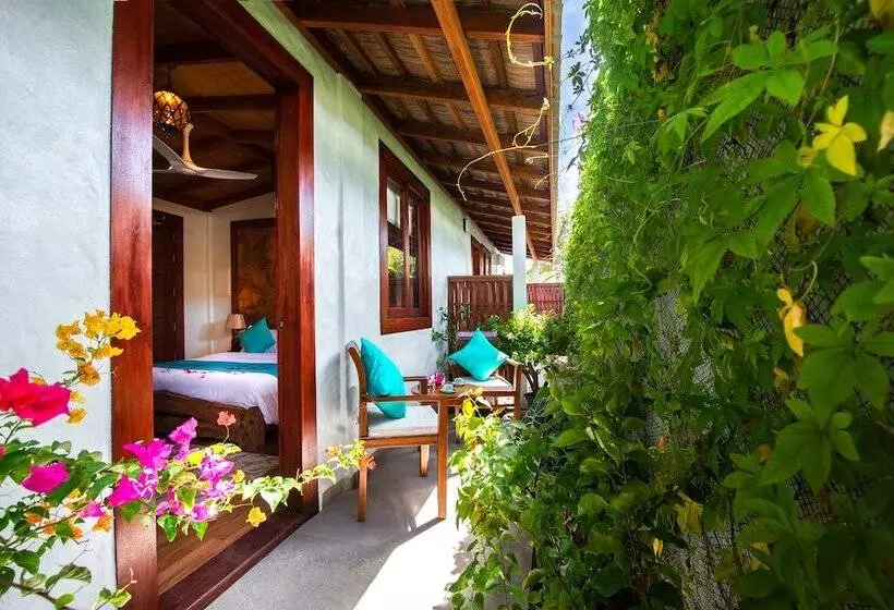 Island Luxury Boutique Hotel   Fulhadhoo