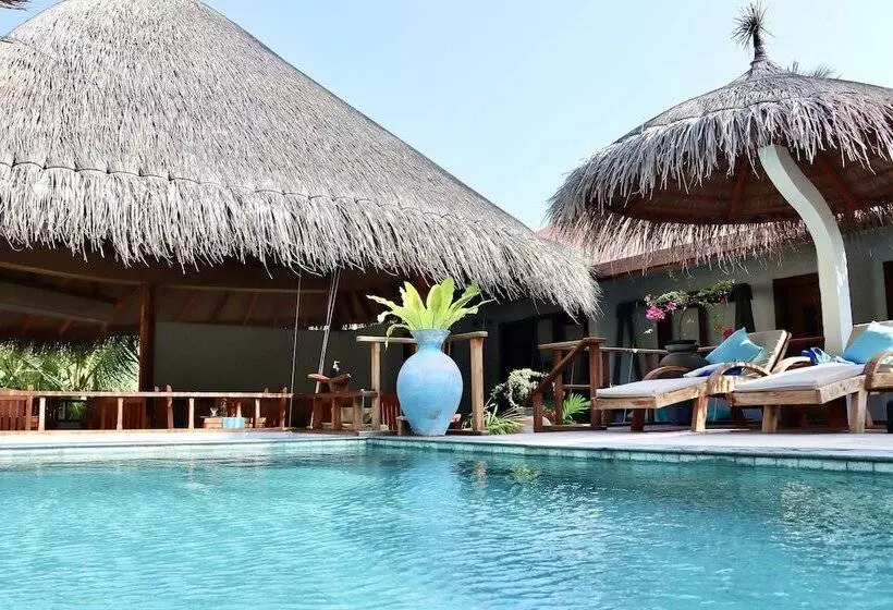 Island Luxury Boutique Hotel   Fulhadhoo