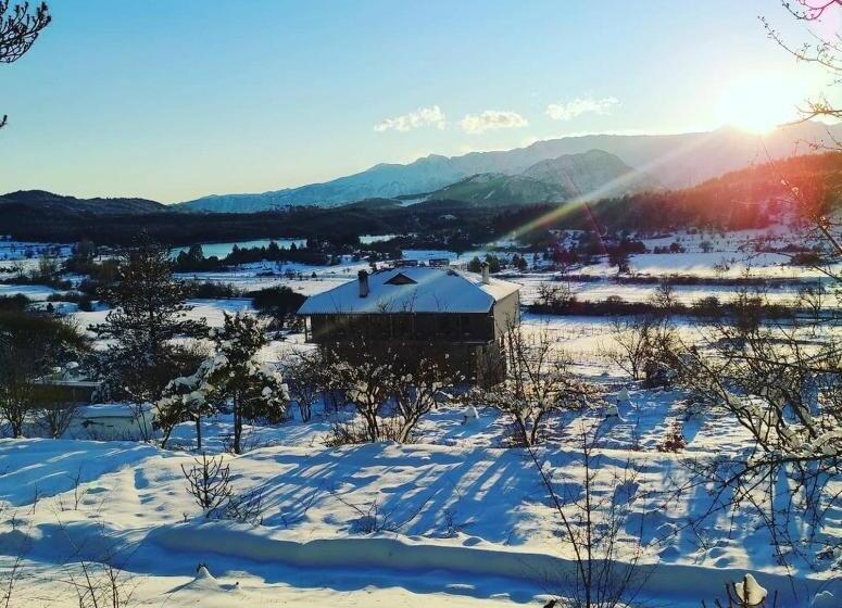 بنسيون Bujtina Vila Dodo