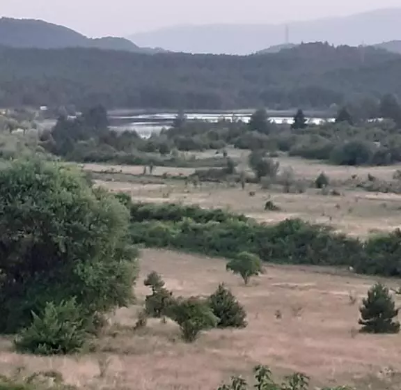 ペンション Bujtina Vila Dodo