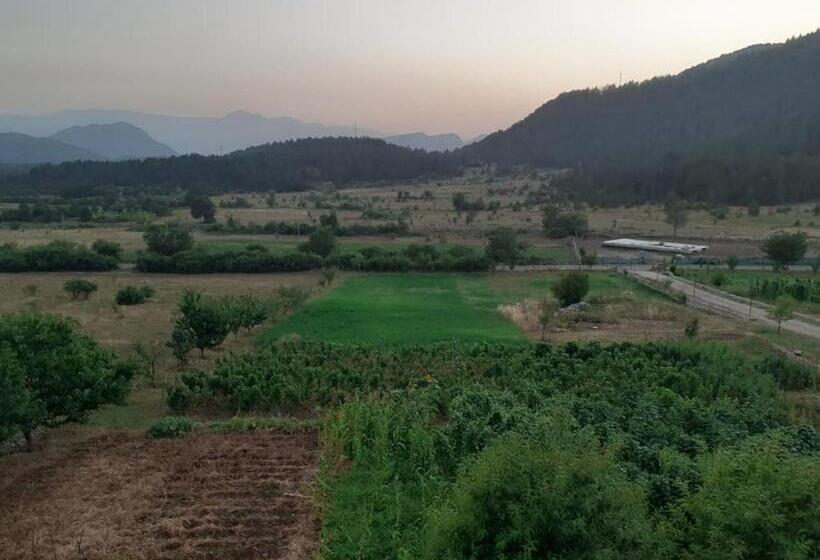 פנסיון Bujtina Vila Dodo