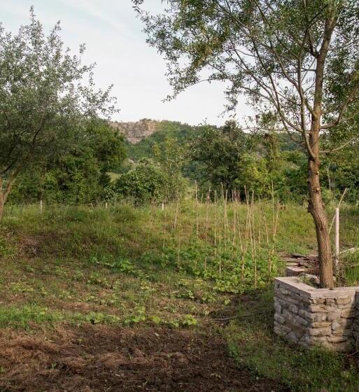 پانسیون Ferma Albanik