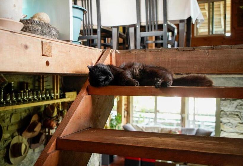 پانسیون Ferma Albanik