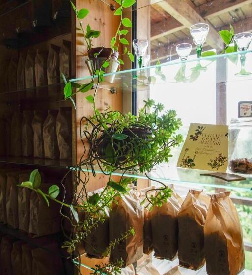 پانسیون Ferma Albanik