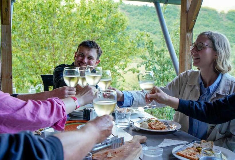 پانسیون Ferma Albanik