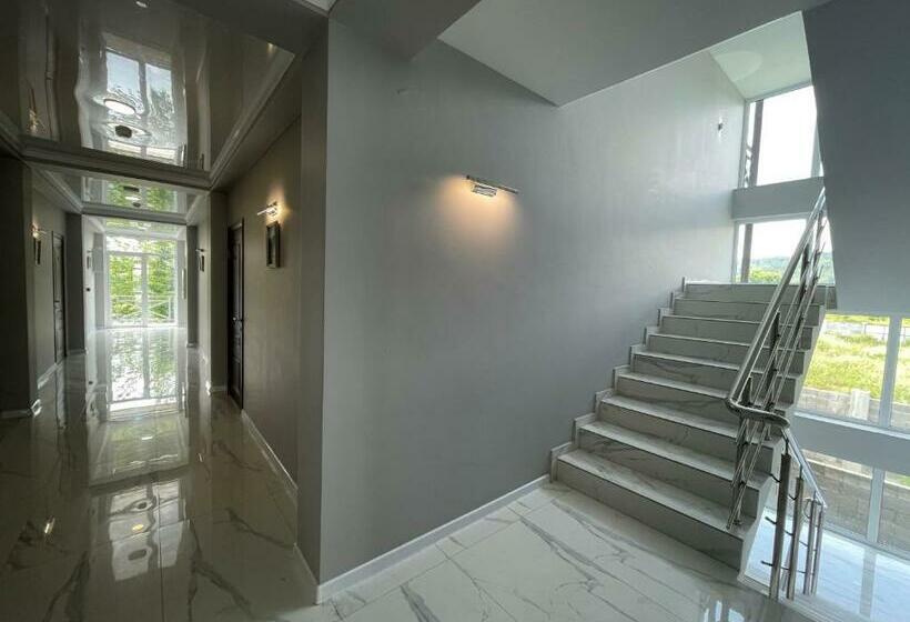 هاستل бугенвиллея