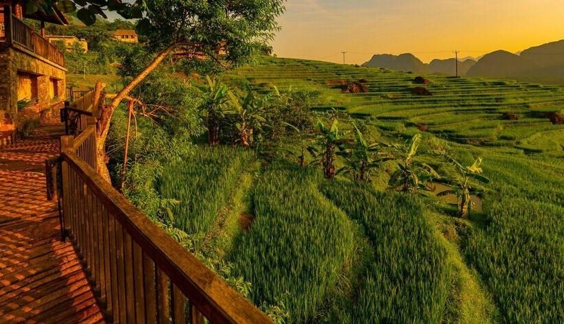 تختخواب و صبحانه Puluong Casa Resort