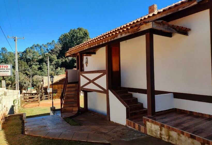 Albergue Pousada Caminho Das Araucárias