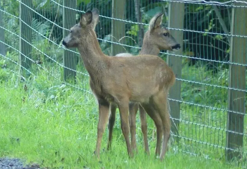 ペンション Kilmeny
