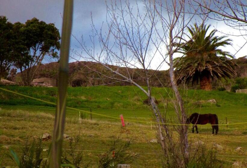 مبيت وإفطار Mulberry Grove Retreat