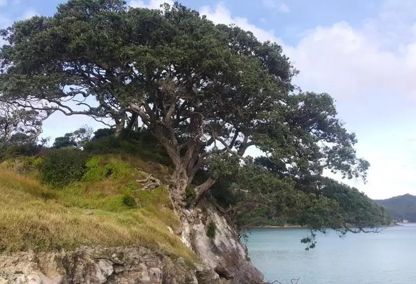 Aamiaismajoitus (B&B) Mulberry Grove Retreat