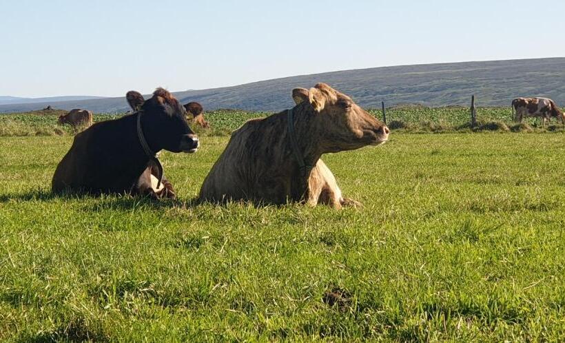 هتل Ljósavatn Guesthouse