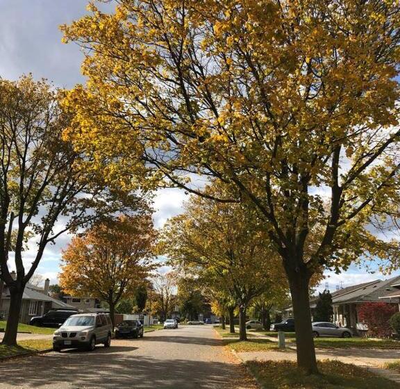 Panzió Freeda S Place