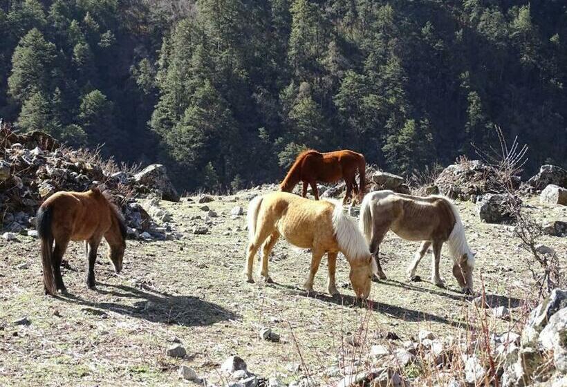 پانسیون Me Very Happy Guesthouse