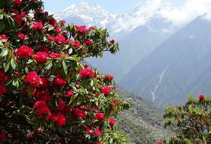 پانسیون Me Very Happy Guesthouse