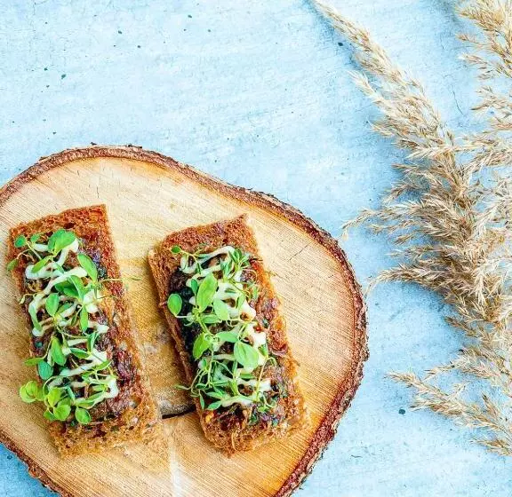 Lomakeskus Aurora Borealis Observatory