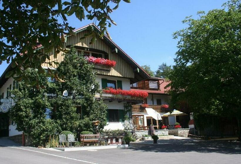 Retkeilymaja Steiner Wirt