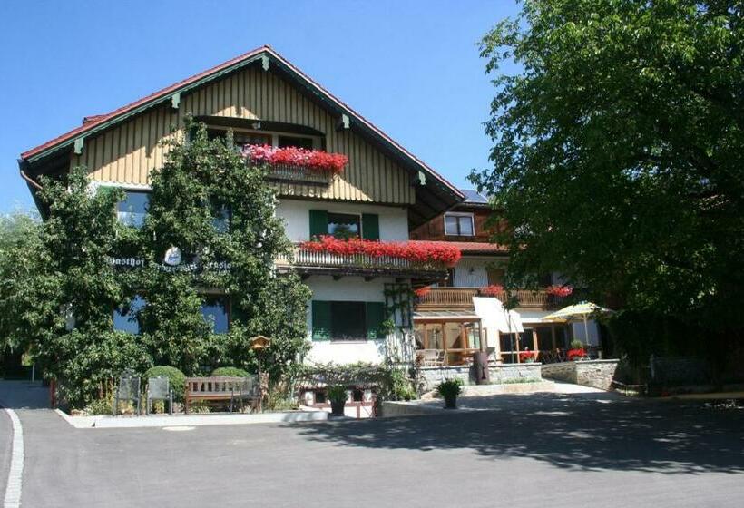 Retkeilymaja Steiner Wirt