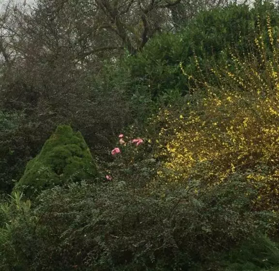 ベッドアンドブレックファースト La Belle Chaumière