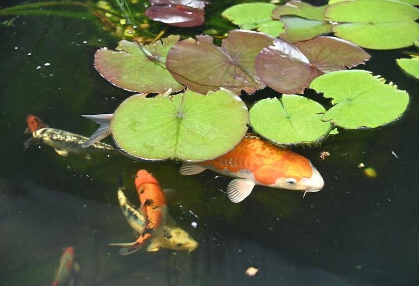 تختخواب و صبحانه La Croisee Des Sentiers