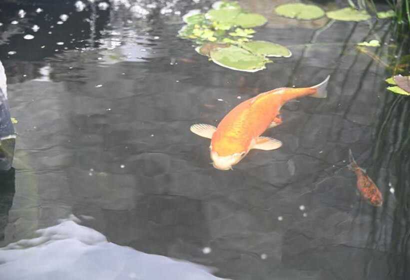 تختخواب و صبحانه La Croisee Des Sentiers