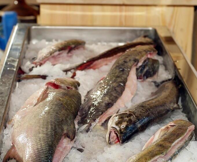 تختخواب و صبحانه šturmų švyturys