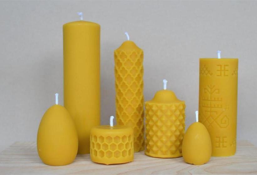 Отель Rongen Gard