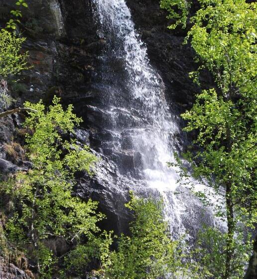 Отель Rongen Gard