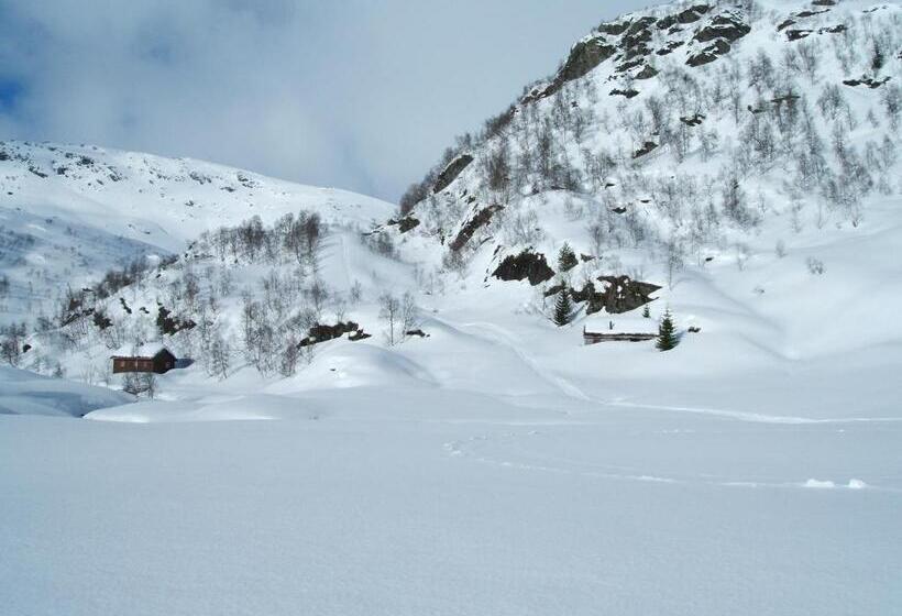 Отель Rongen Gard